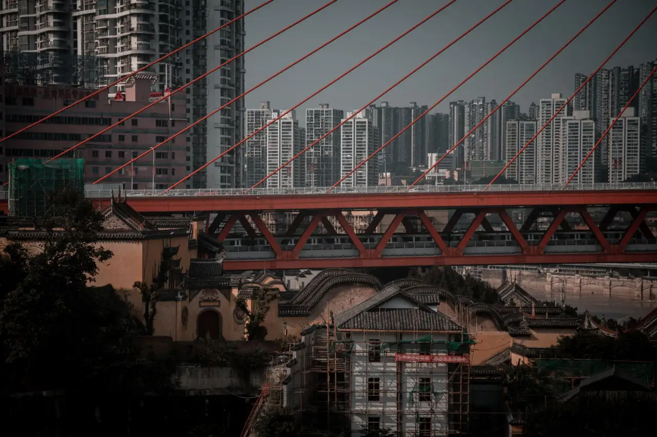 重庆市政园林绿化工程苗木选配与成活率提升关键技术正文配图 1