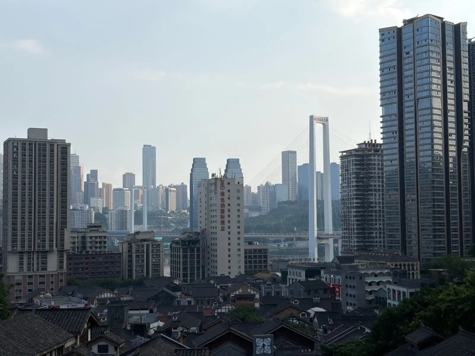 重庆地区园林景观工程苗木选配与成活率提升技术要点正文配图 1