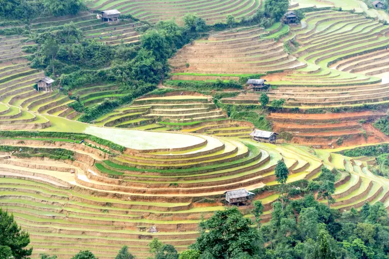 重庆市政公园园林绿化工程的植物配置要点与施工技术解析