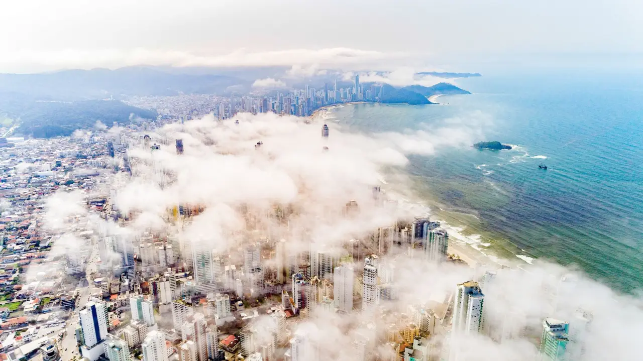 市政公园景观工程苗木供应与绿化养护的协同管理实践