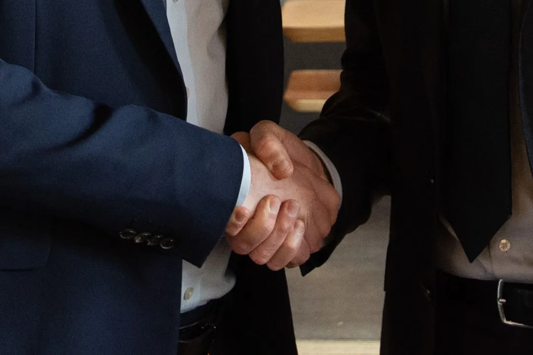 园林绿化工程中苗木供应与景观设计的协同要点解析