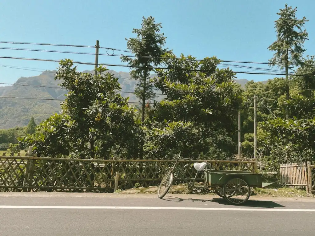 基于生态宜居理念的市政公园绿化养护技术方案与实践