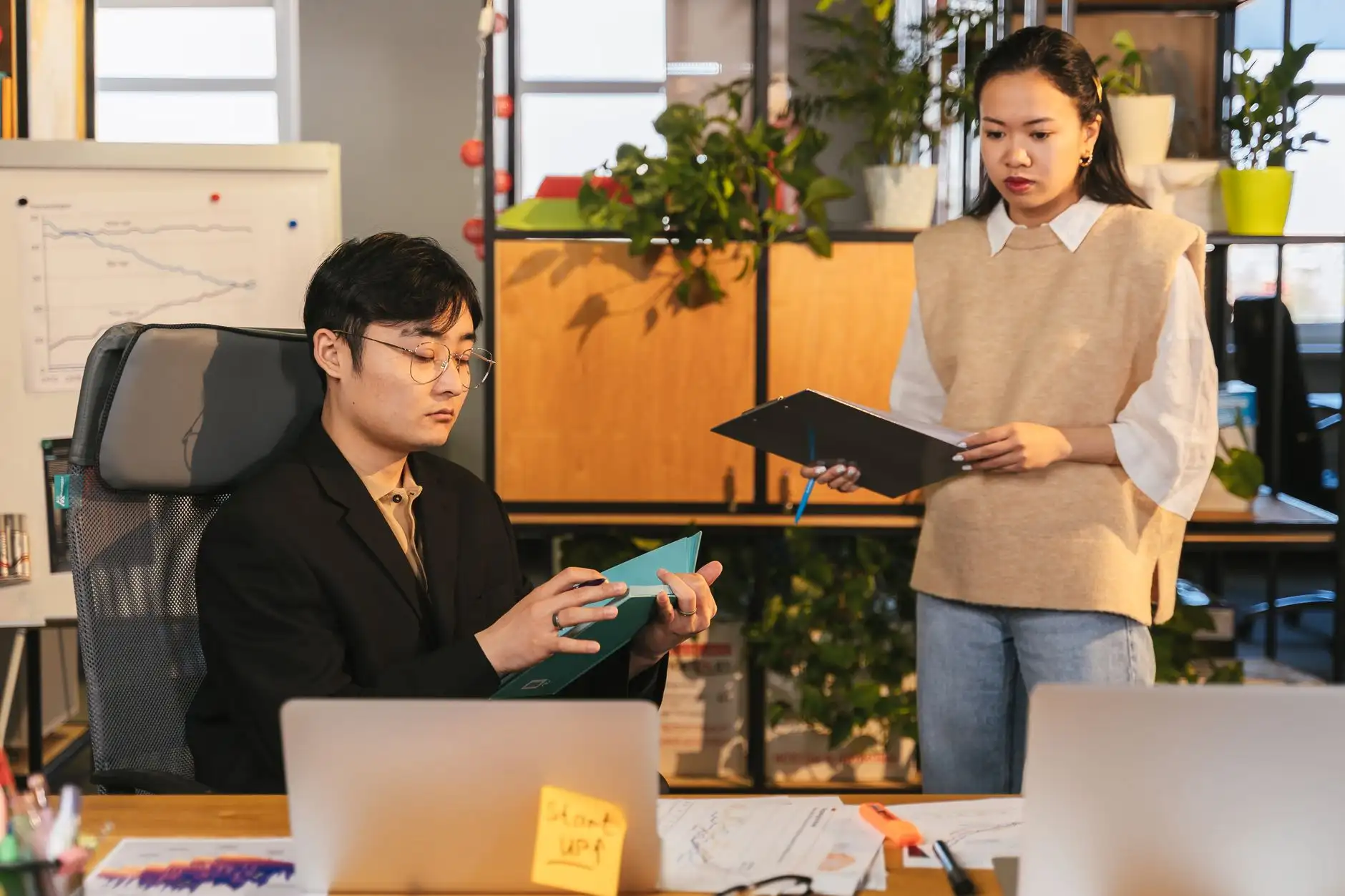 重庆市政公园园林绿化工程的施工要点与苗木选配方案