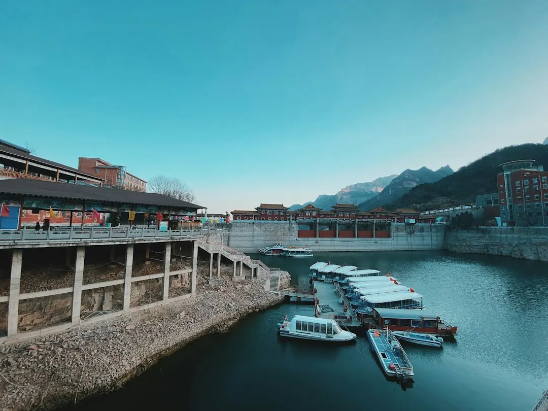 住宅小区与市政公园景观工程对比：绿化养护模式有哪些不同