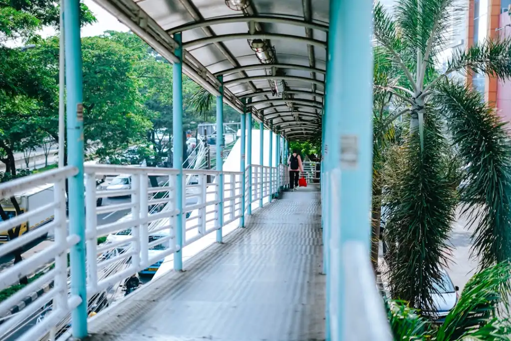 西南地区园林绿化工程中乡土苗木选型与成活率提升的技术要点